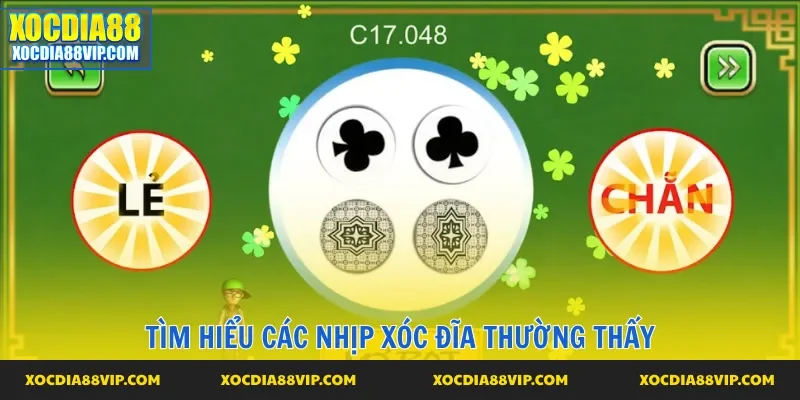 5 loại cầu cược phổ biến mà bạn cần nắm rõ