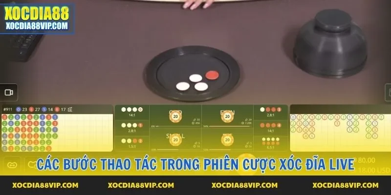 Các bước thao tác trong phiên cược xóc đĩa live
