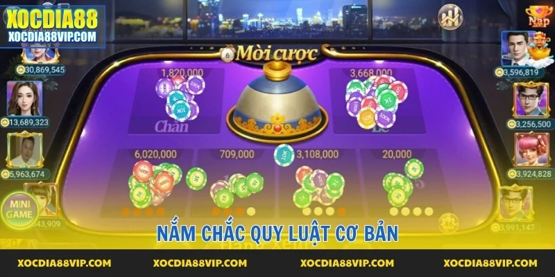 Nắm rõ luật, thắng dễ dàng