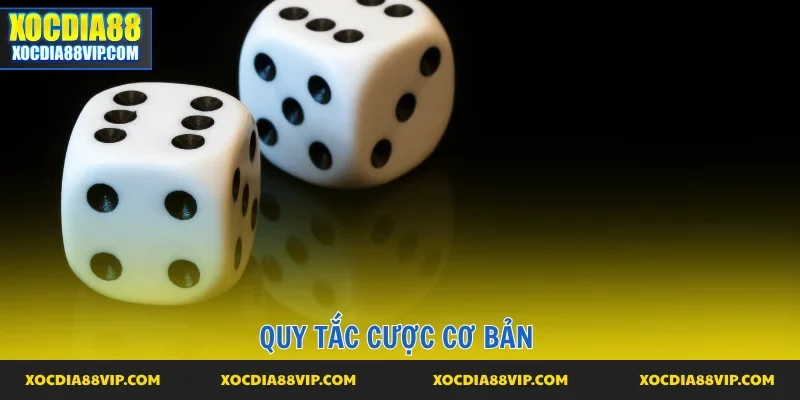 Quy tắc cược cơ bản cho từng ván diễn ra