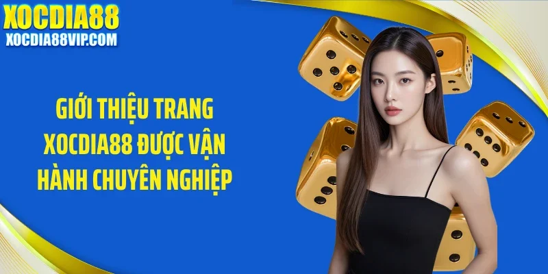 Giới thiệu trang Xocdia88 được vận hành chuyên nghiệp