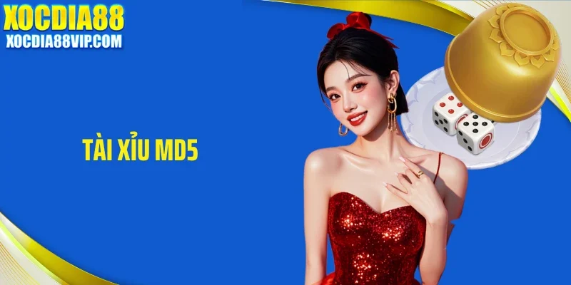 Tài Xỉu MD5 Tại Xocdia88 Có Gì Khiến Nhiều Người Tin Chọn?